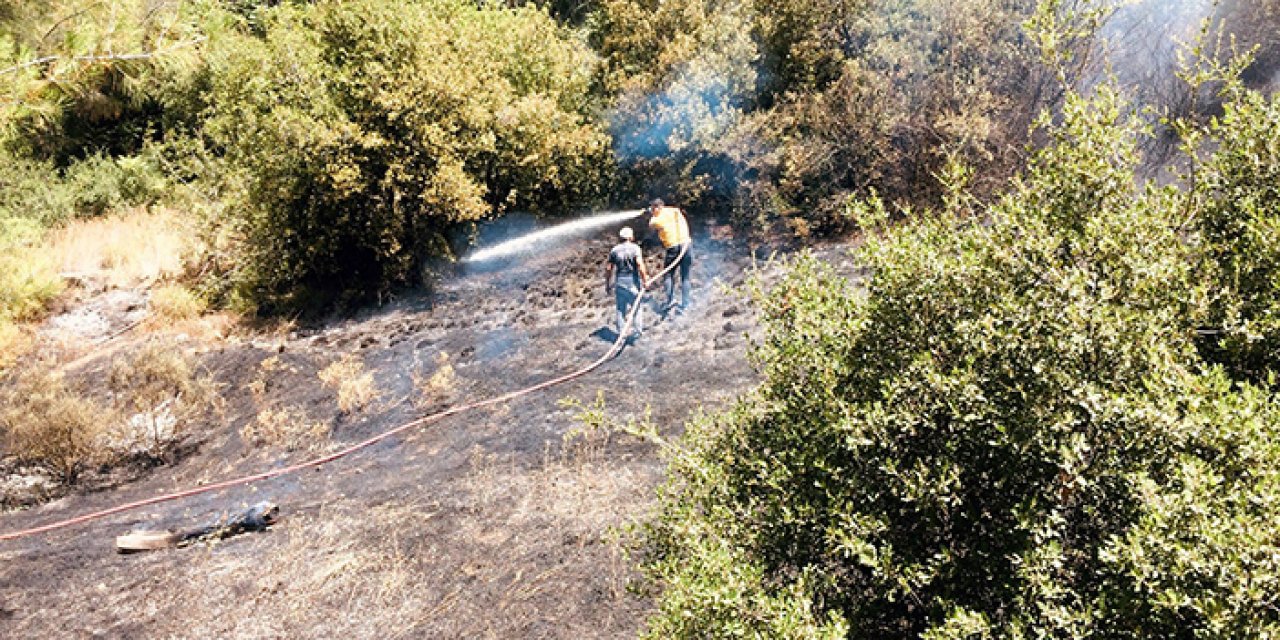 Osmaniye’de orman yangını: 2 dekar alan zarar gördü