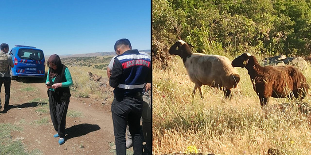 Kaçak kurbanlar 2 gün sonra bulundu