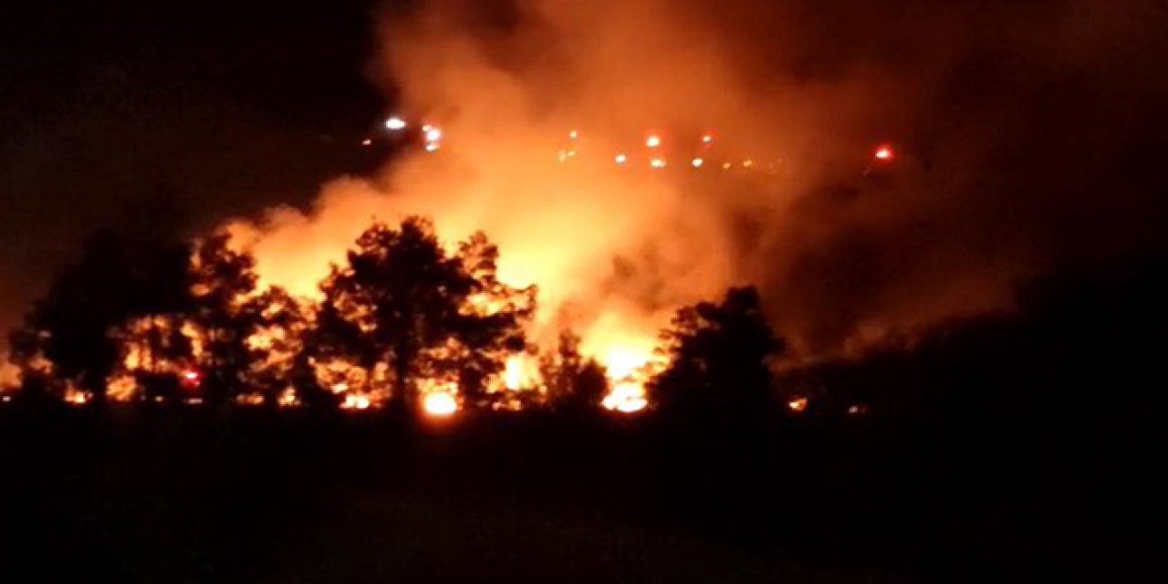 Piknik alanında korkutan yangın