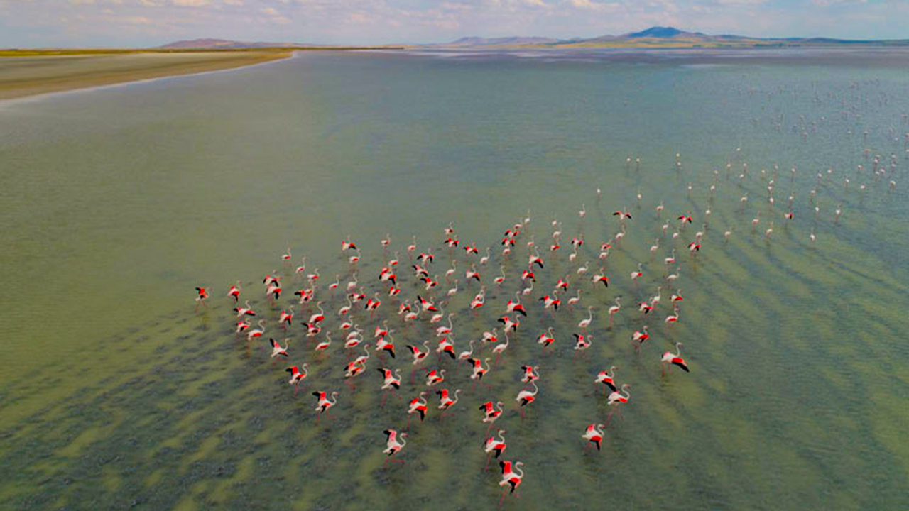 Ankara'nın yanı başında: Muhteşem manzarası ile büyülüyor...