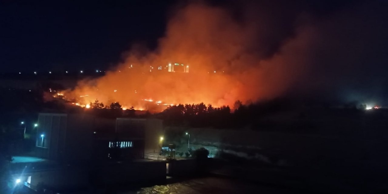 Piknik alanında korkutan yangın