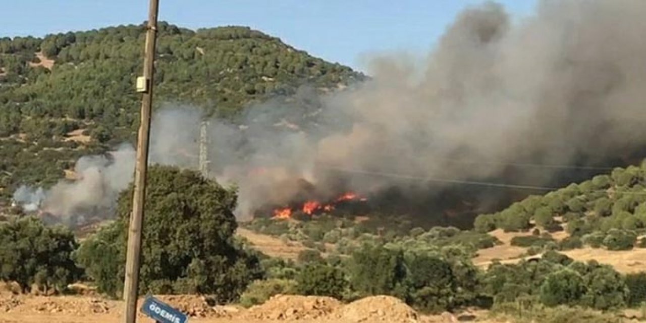 İzmir’de anız yangını