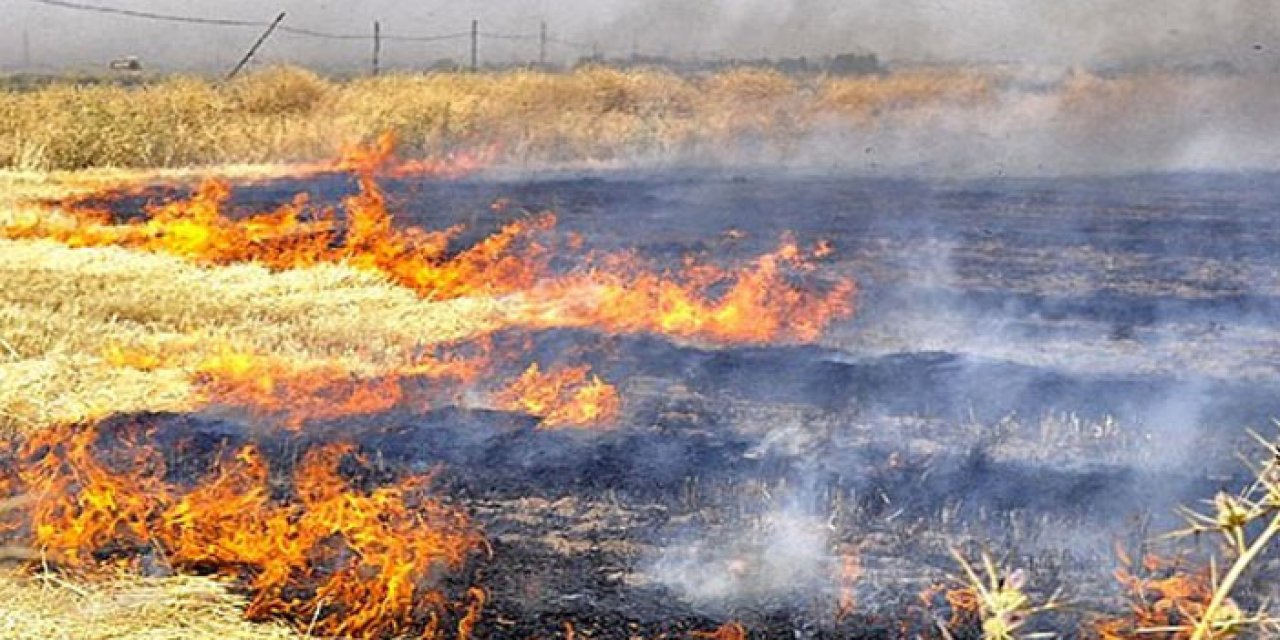 Bandırma'da korkutan anız yangını