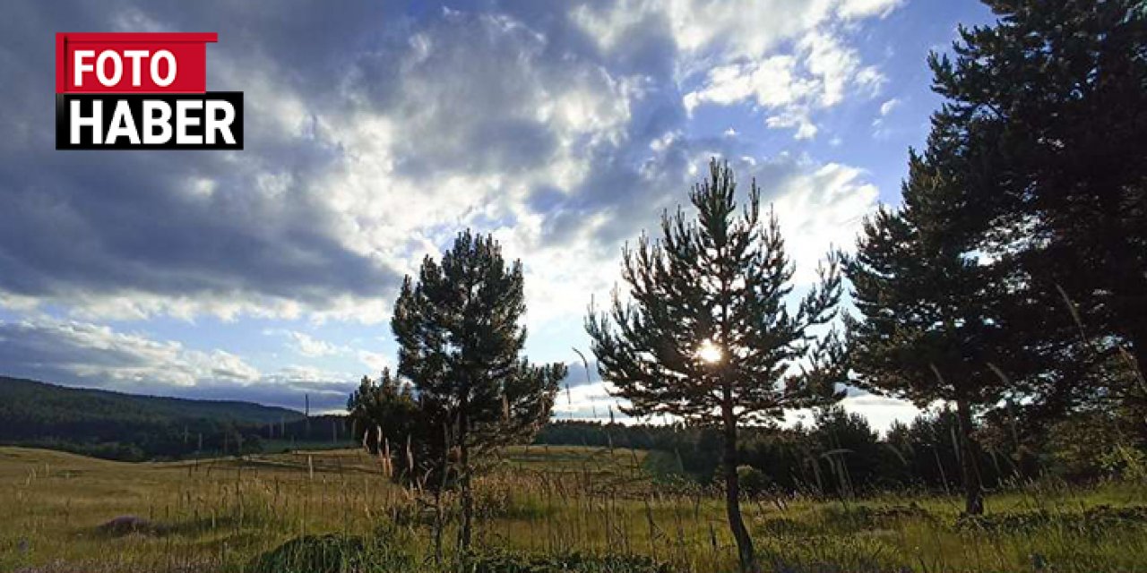 Çorum İskilip'te orman esintileri