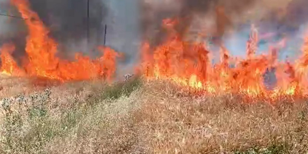 Batman'da 100 dönüm buğday alev alev yandı