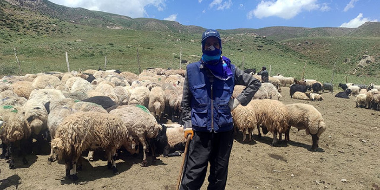 Hakkari’ye 20 bin TL maaş ile ithal çoban