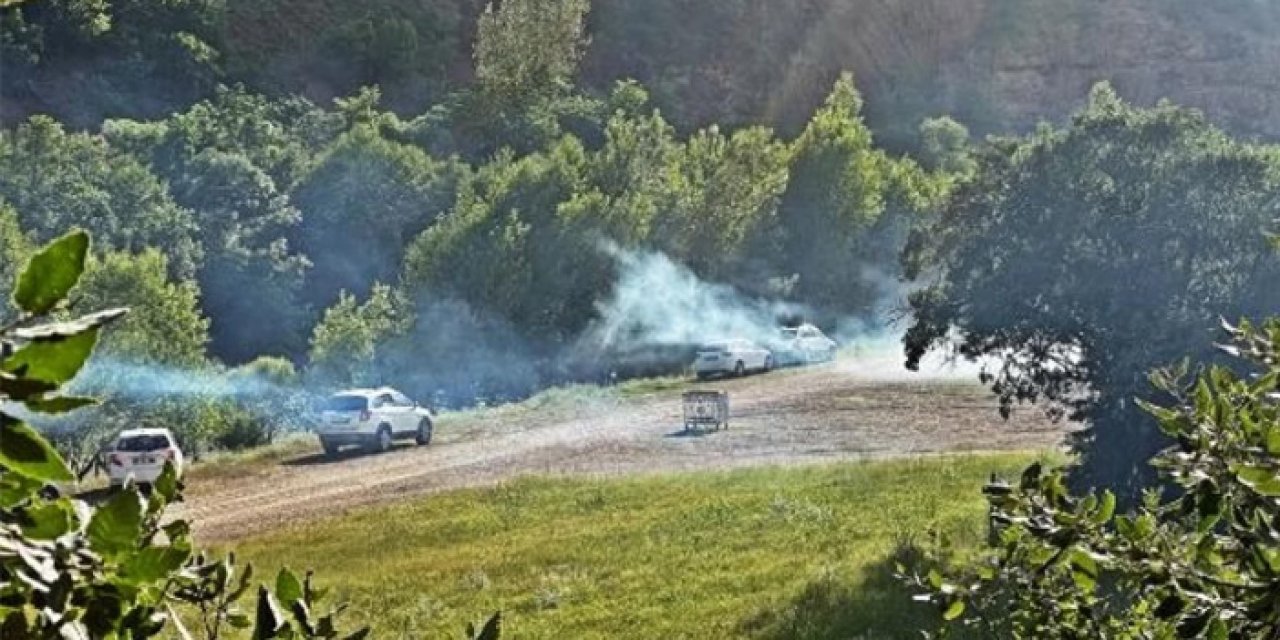 Munzur Vadisi’nde yasak ihlali!