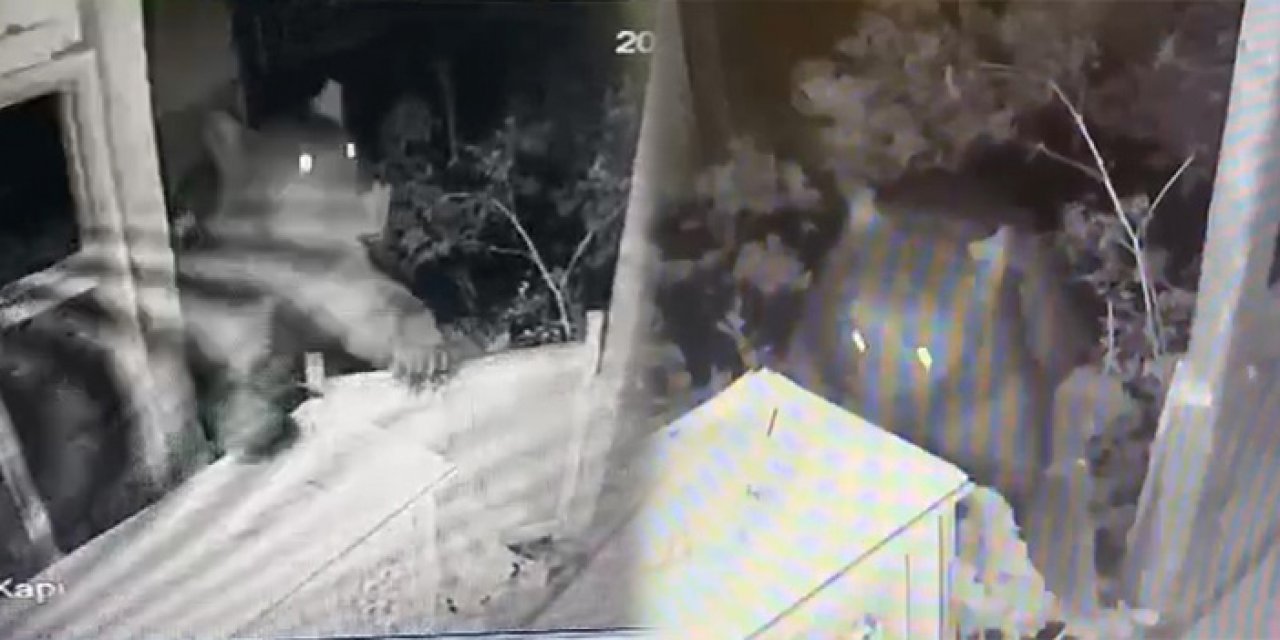 Eve ayı girdi: Yiyecekleri yiyip eşyaları dağıttı