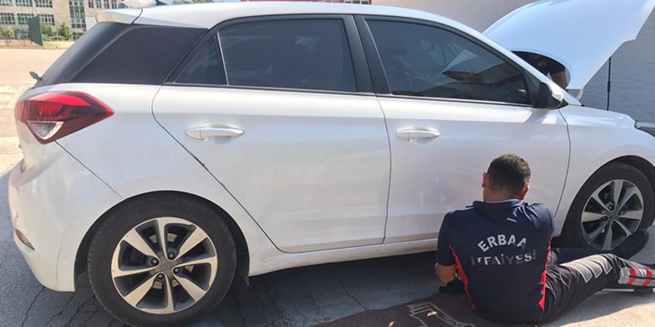 Otomobilin motoruna giren kediyi itfaiye kurtardı