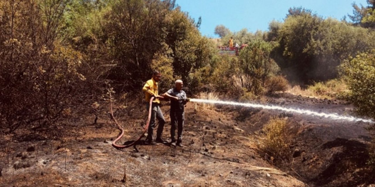 1 dekarlık alan yangın nedeniyle zarar gördü
