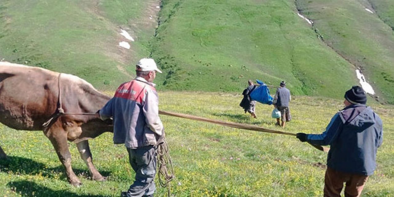 Sıkışan inek köylüler tarafından kurtarıldı