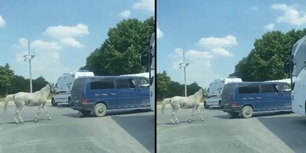 O vicdansız teslim oldu