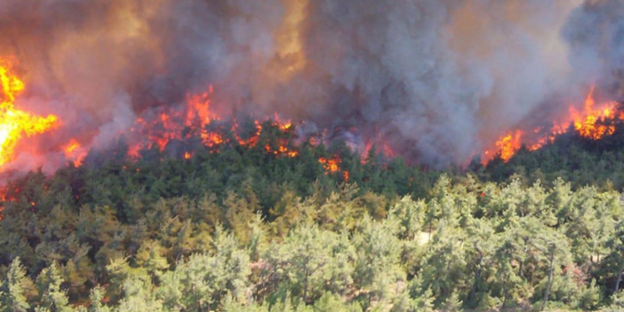Ormanlarda ateş yakmak yasaklandı