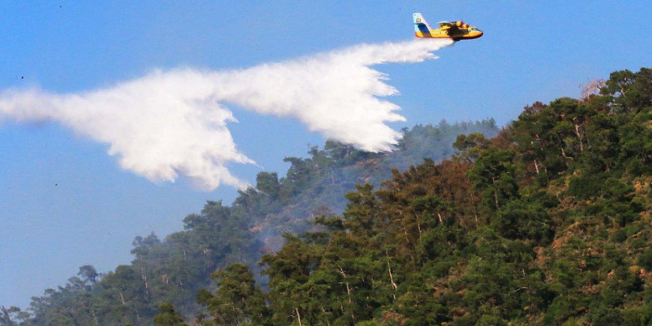'Ormanlarımızı korumak için lütfen kurallara uyalım'