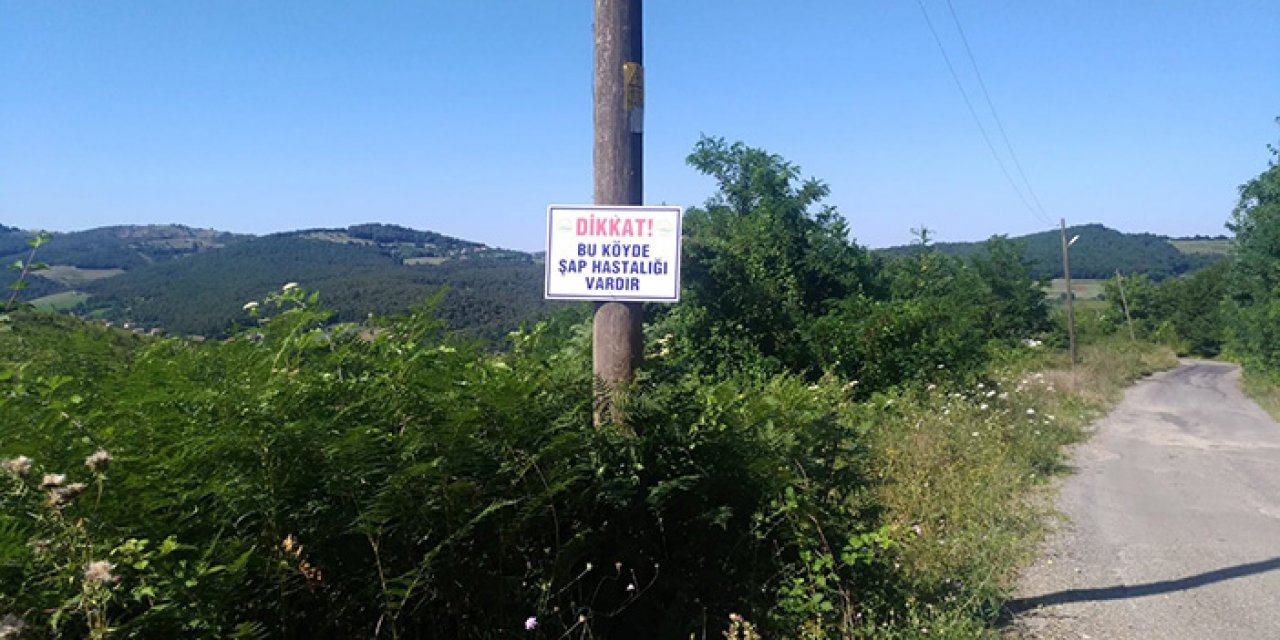 Şap hastalığı paniğe neden oldu: 136 köy karantinada