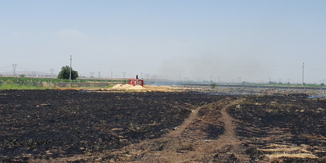 Kulübe yangını tarlaya sıçradı: 10 dönümlük buğday yandı