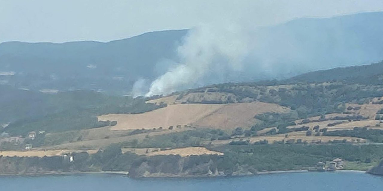 Çanakkale'de orman yangını çıktı