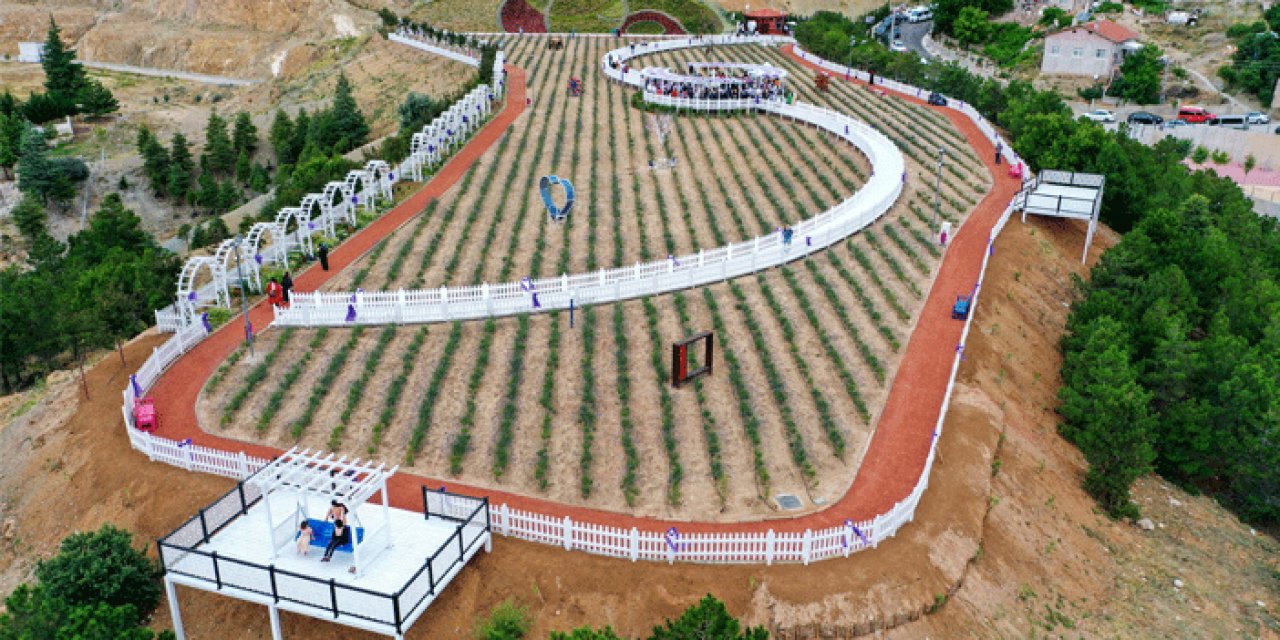 Ziyaretçilerini bekliyor! Meram Lavanta Bahçesi açıldı