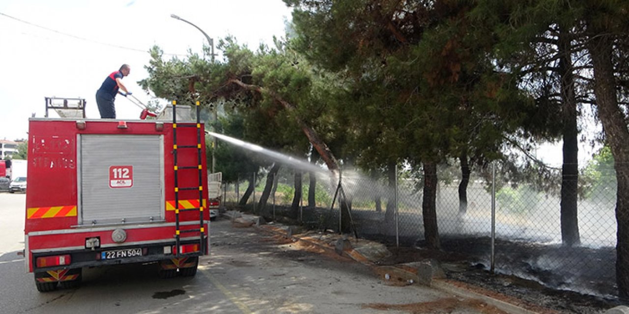Sanayi sitesinde bulunan ağaçlık alanda yangın çıktı