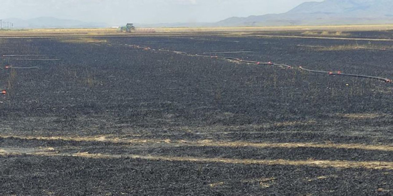 Trafoya konan kartal yangına sebep oldu