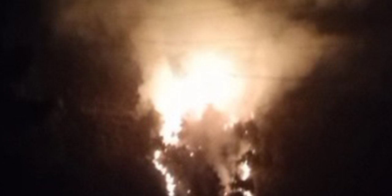 Hatay’da orman yangını: Güçlükle söndürüldü