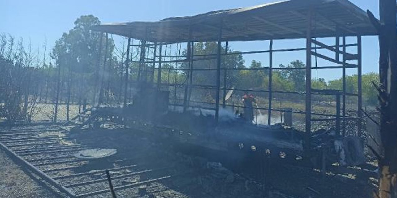 Bodrum'da yangın: 4 tiny house tamamen yandı