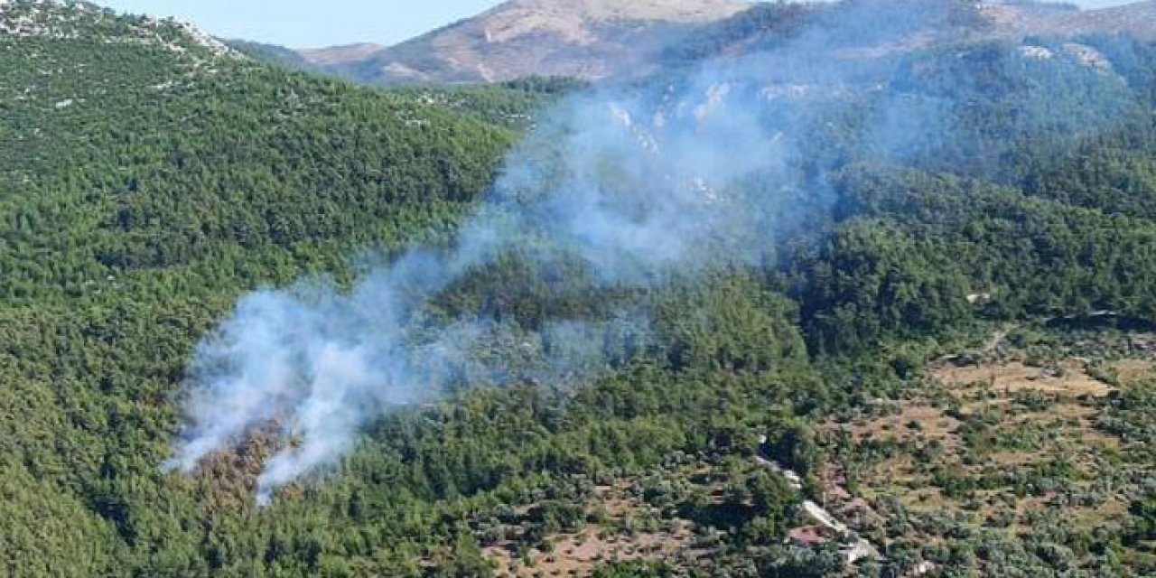 Muğla'da orman yangını: 3 helikopter müdahale ediyor