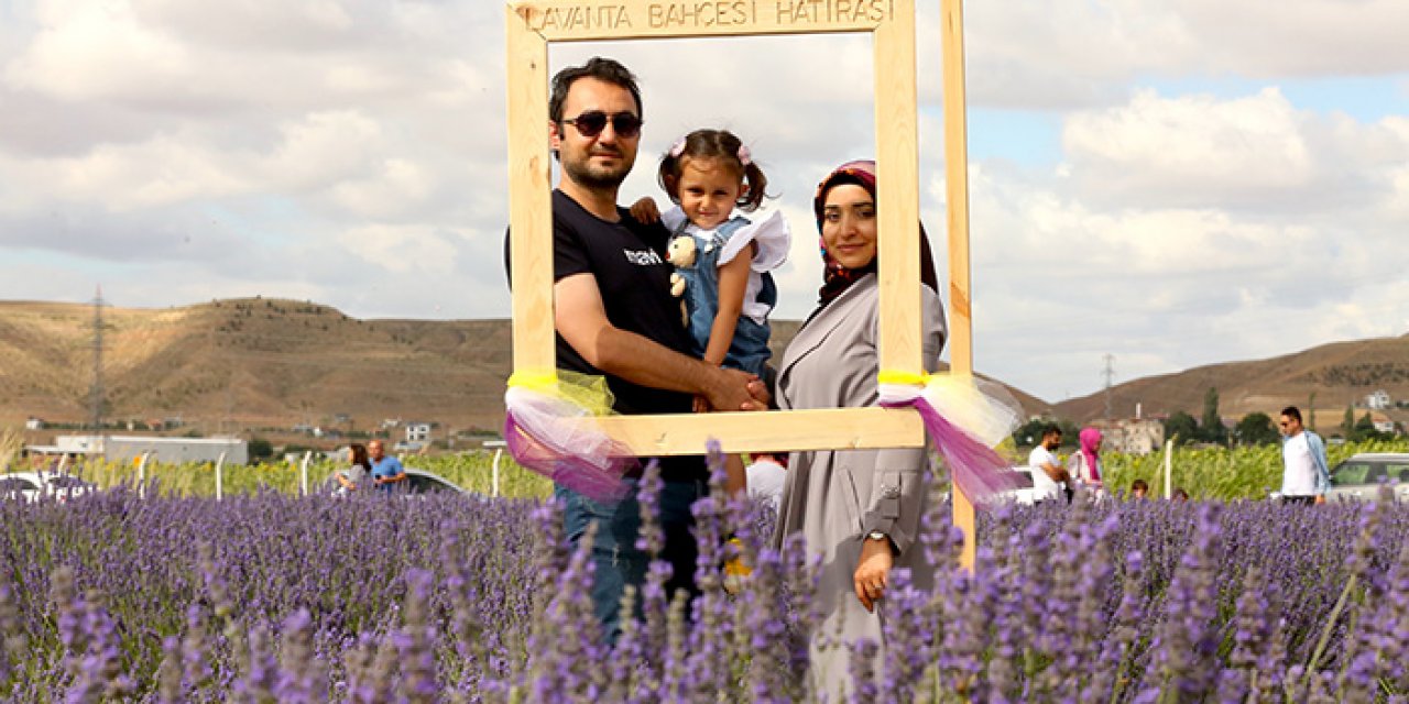 Aksaray'da lavanta bahçesi açıldı
