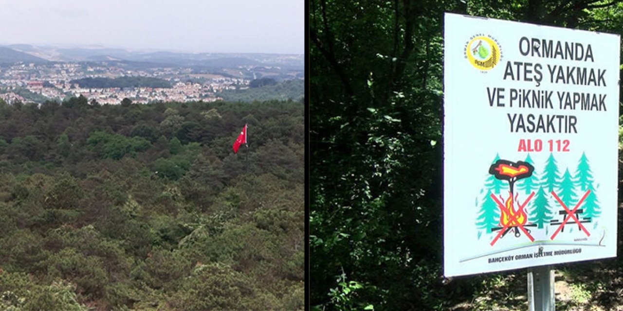 Orman yangınlarında yüzde 70 azalma var