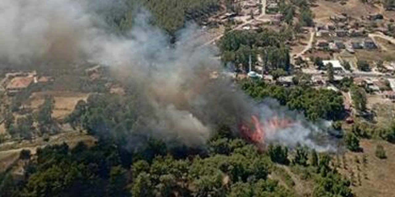 Muğla'da orman yangını
