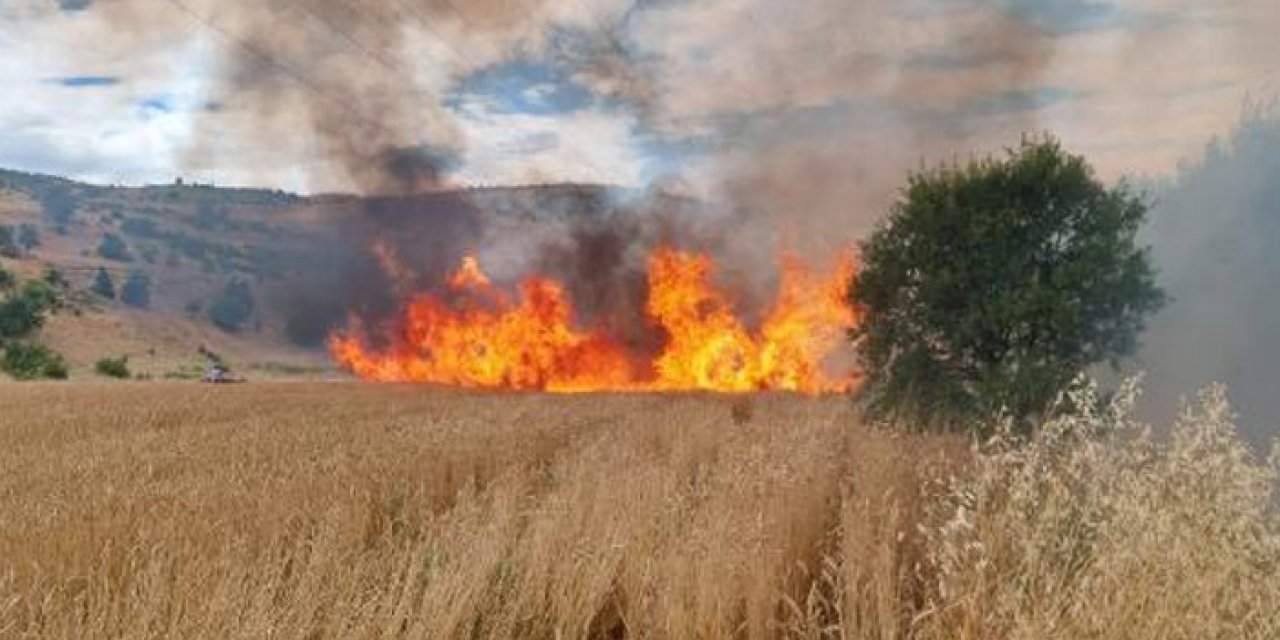 10 dönüm ekili buğday alev alev yandı
