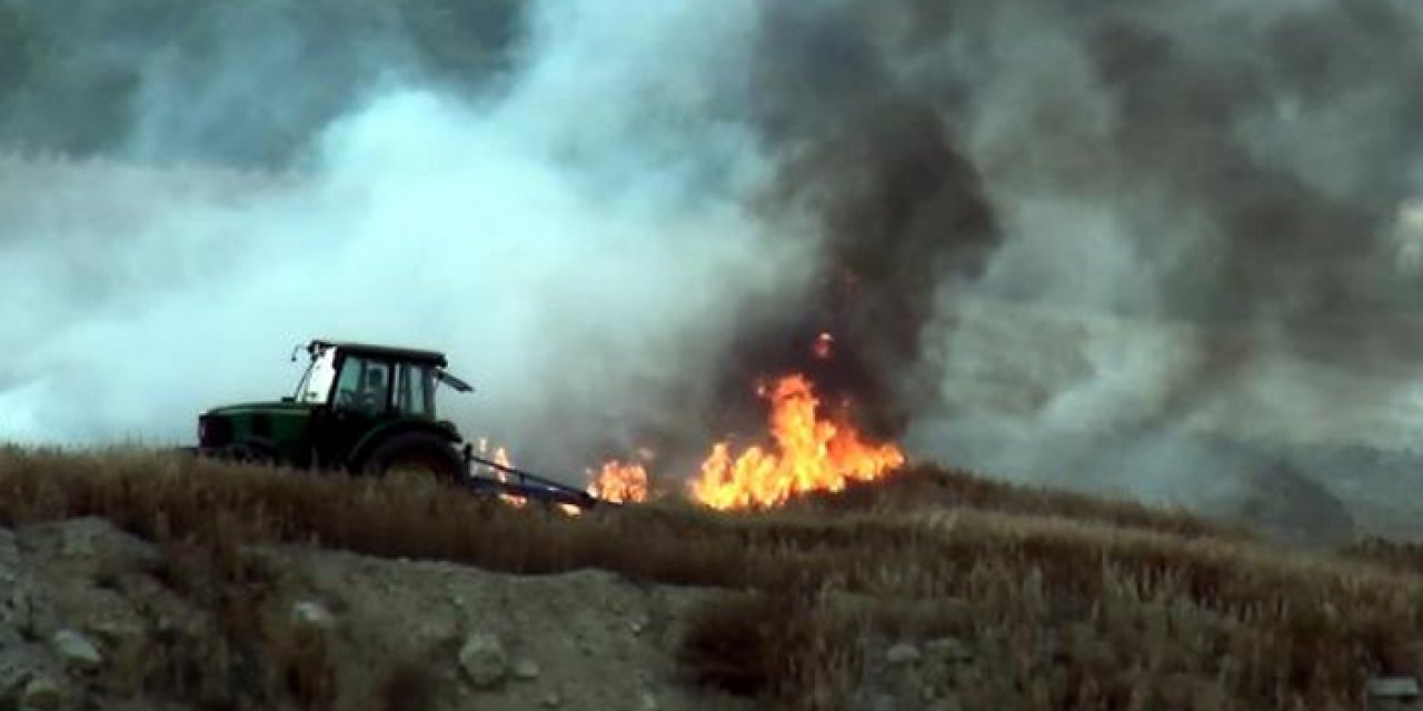 60 dönüm ekili buğday yangın nedeniyle kül oldu