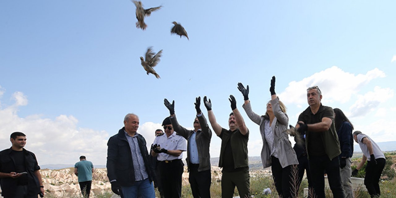 600 kınalı keklik doğaya salındı