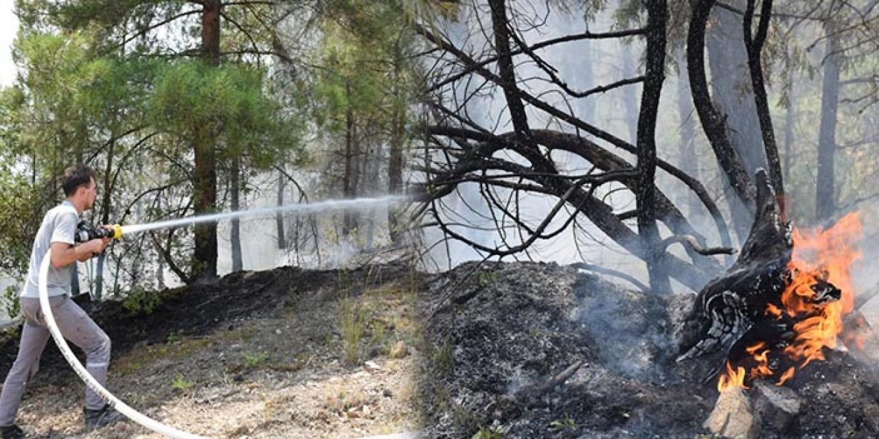 Eskişehir Sarıcakaya’da orman yangını