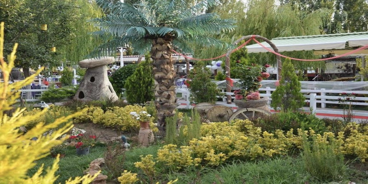 Ankara'da Sıradışı Kahvaltı Deneyimi: Tavus Kuşlarıyla Buluşun...