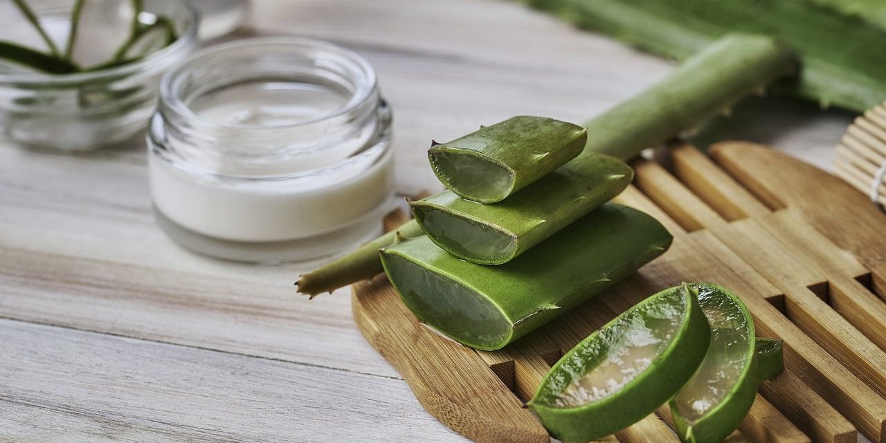 Güneşin Yanık Etkilerine Karşı Doğal Koruyucu: Aloe Vera