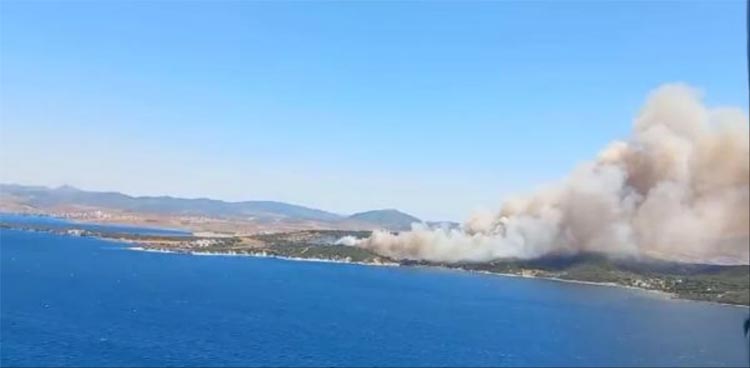 İzmir'de çıkan orman yangını ile ilgili son dakika gelişmesi