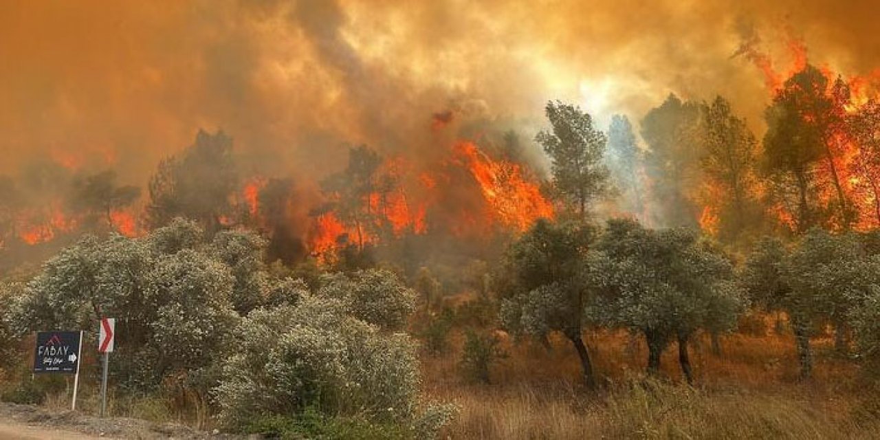 Muğla'da orman yangını çıktı