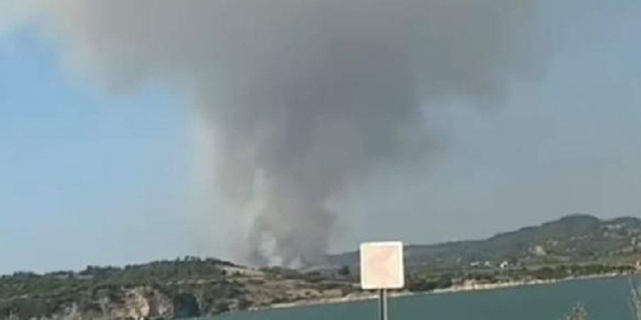 Adana'da orman yangını çıktı