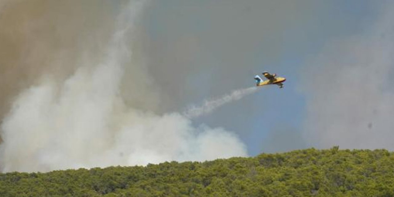 Yazlıkçıların yoğun olduğu bölgede korkutan yangın