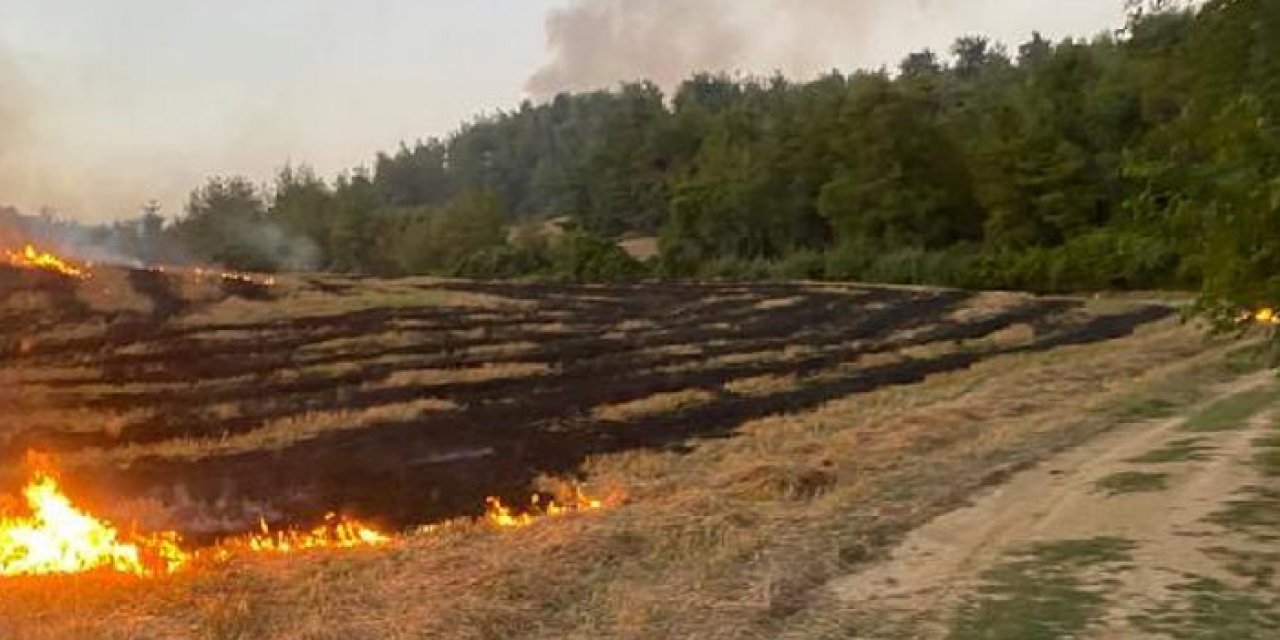 Adana'da orman yangını 2 saatte kontrol altına alındı
