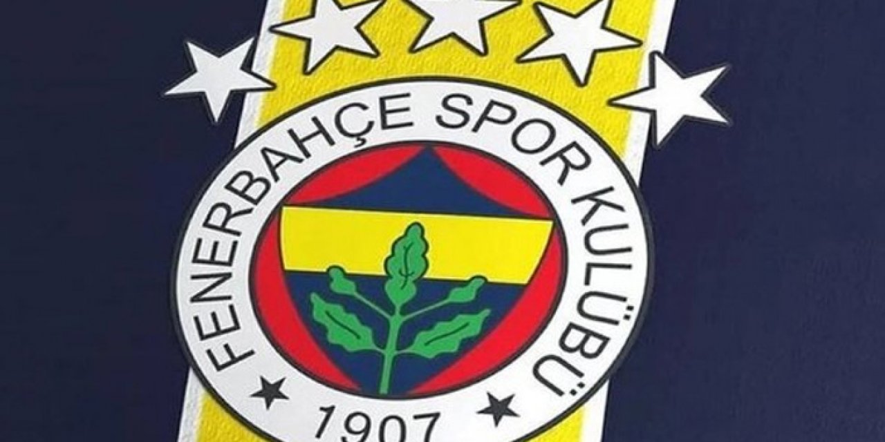 Fenerbahçe Moldova’ya indi