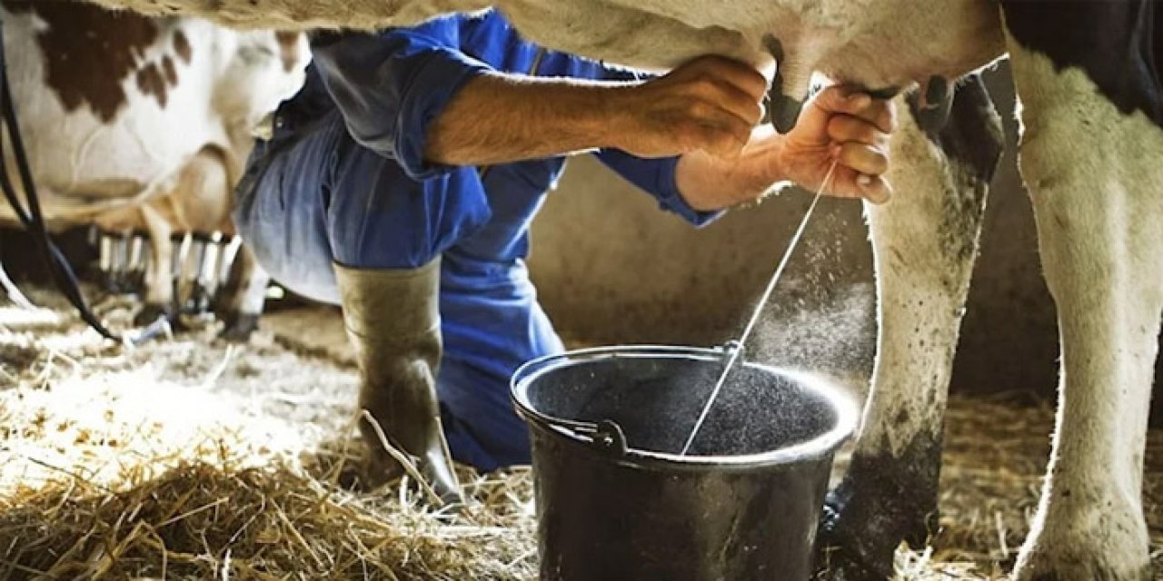 Çiğ süte yüzde 35 zam geldi: Geçerli tarih açıklandı