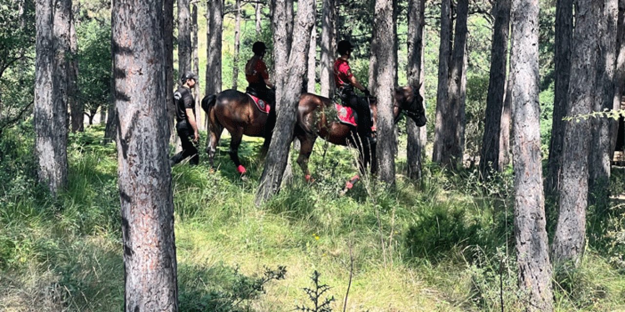 Ormanlarda atlı polis dönemi