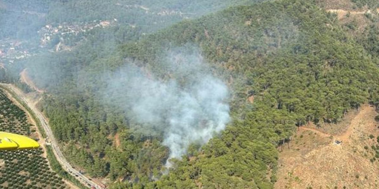 Muğla'da yangın: Havadan ve karadan müdahale ediyor