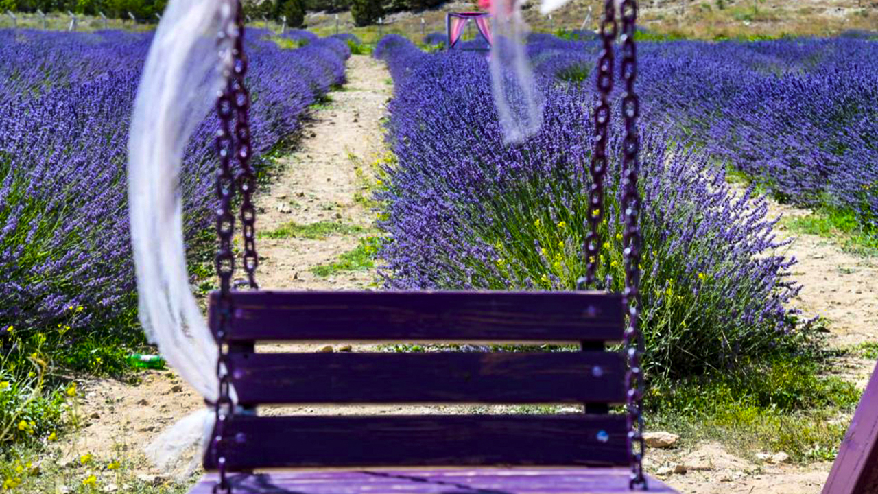 Ankara'nın ortasından görsel şölen!  Fotoğraf çekinmek bahane huzura akın ediyorlar...