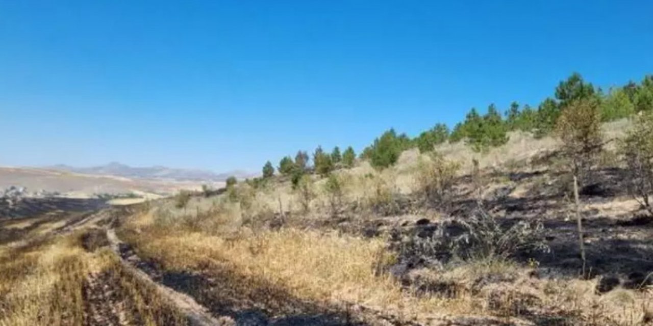 Aksaray'da anız yangını ormanlık alana sıçradı