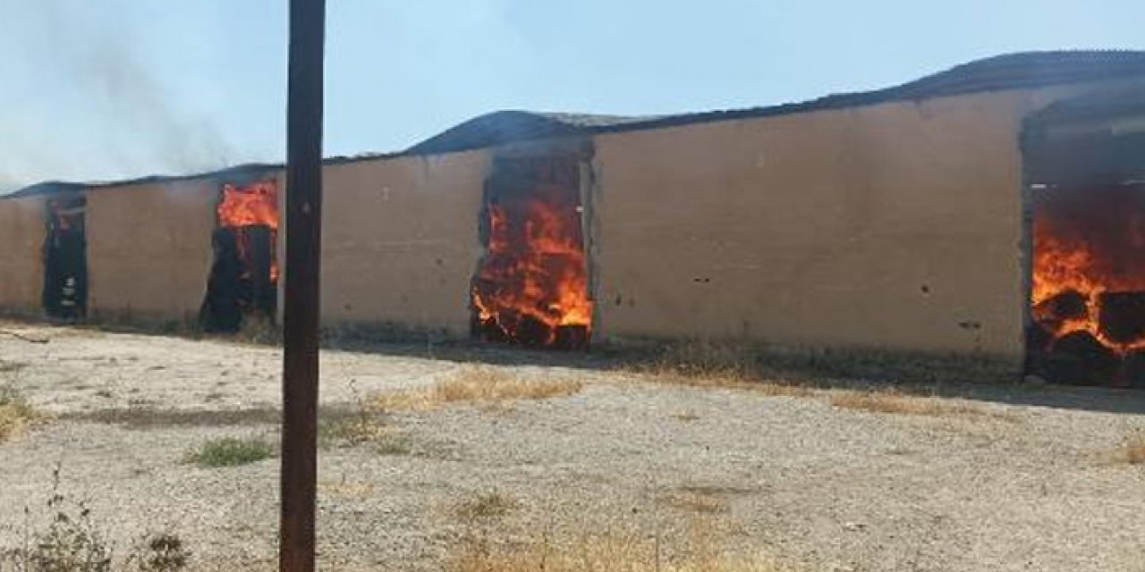 Diyarbakır'da yangın: 1000 ton pamuk kül oldu