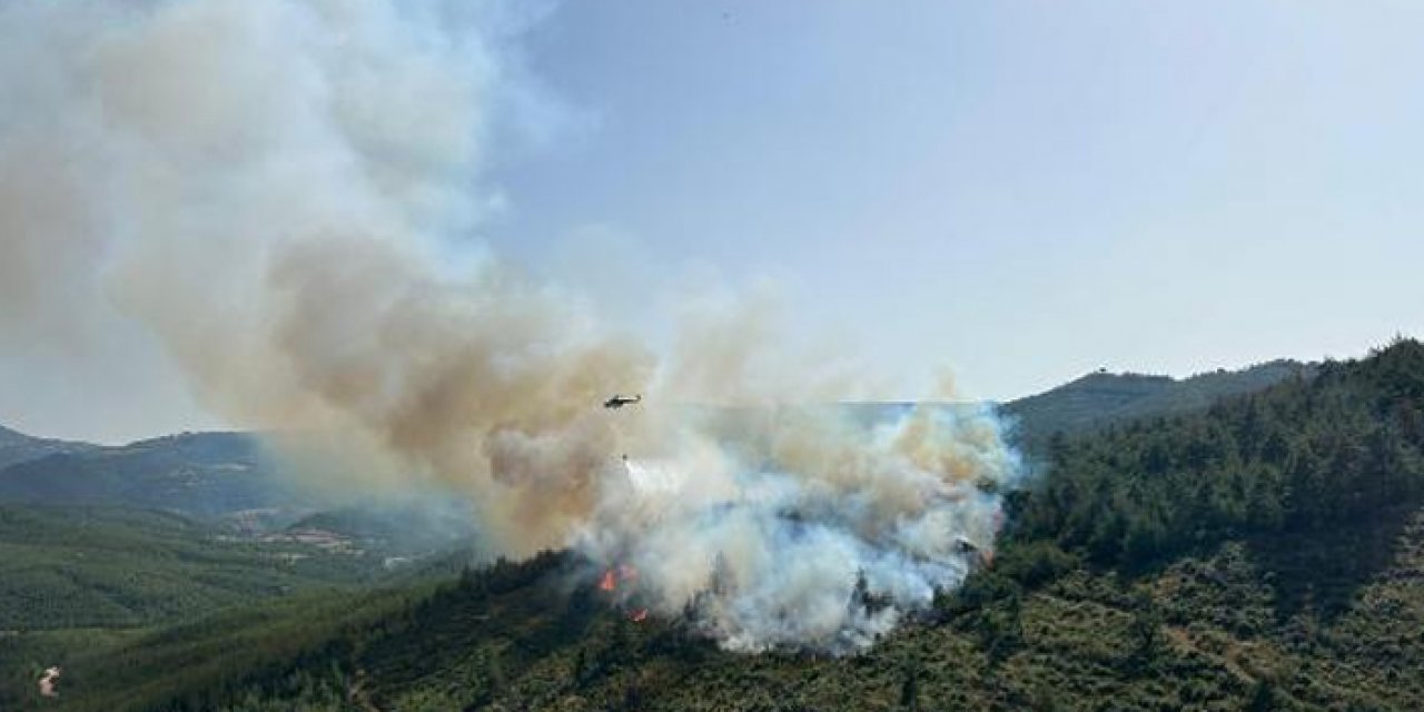 Balıkesir'deki orman yangını kontrol altına alındı