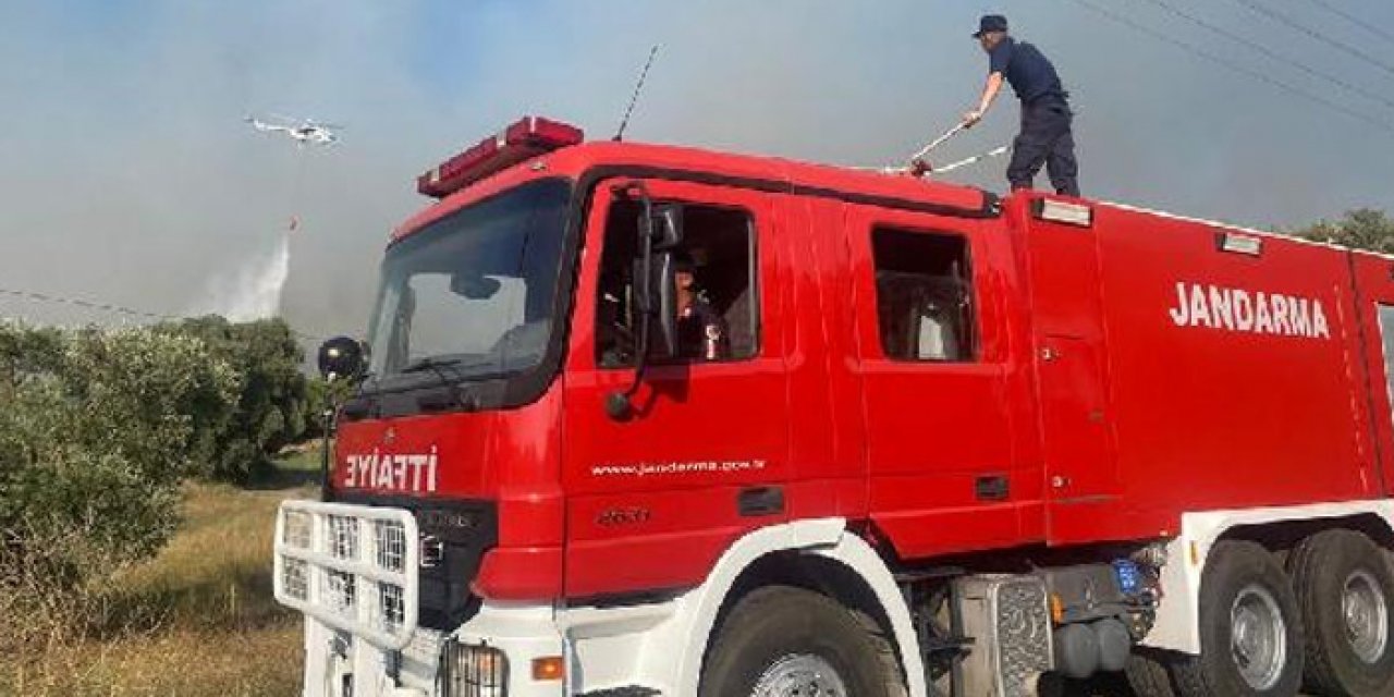 Milas'ta makilik yangını rüzgarın etkisiyle yayılıyor